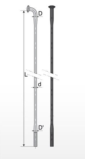 03005225